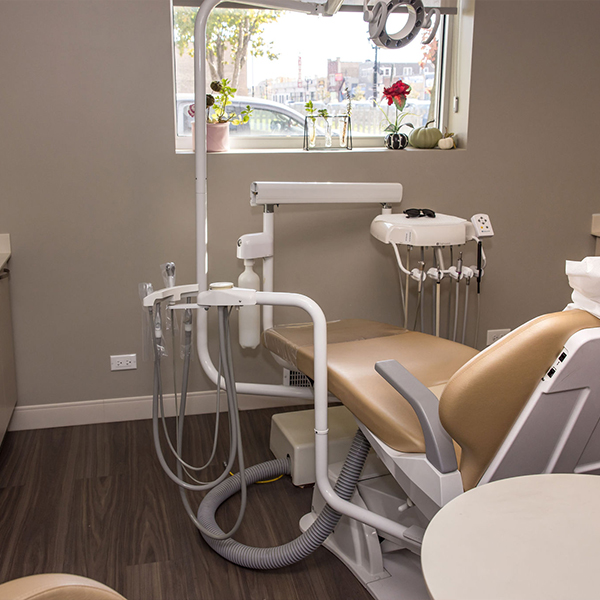 Dentist in 60305